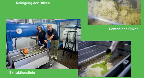 Early Harvest 2025 - Novello – Bild 6