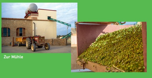 Early Harvest 2025 - Novello – Bild 7